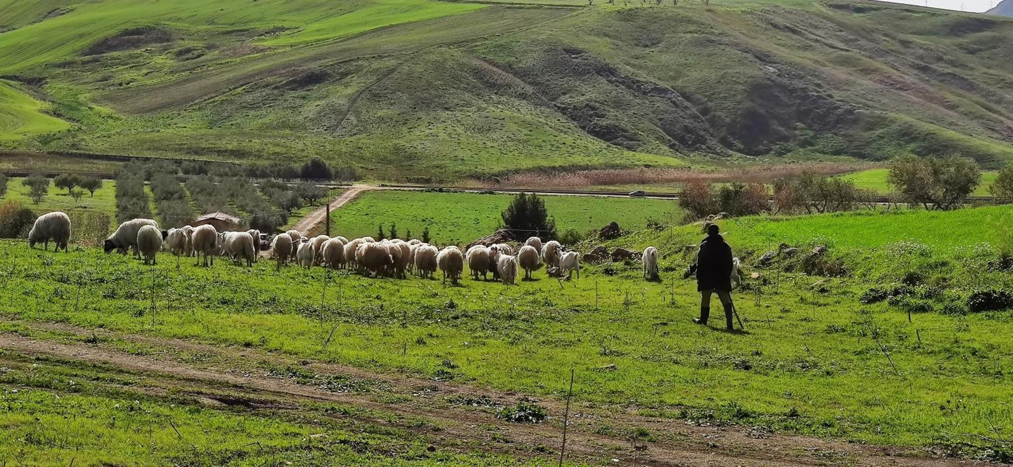 B&B Della Via Francigena Agrigento Eksteriør bilde